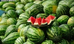 吃瓜网36w.,揭秘吃瓜网36万粉丝背后的秘密与影响力