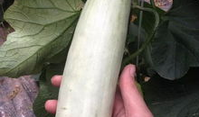 网红吃瓜云南怒江的,探寻云南秘境的美食与风情