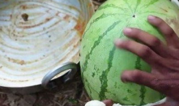 网红最新吃瓜,揭秘娱乐圈幕后真相